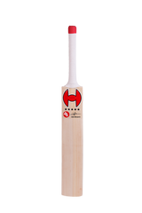 Hound DM Bravo English Willow Cricket Bat