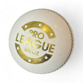 DSC Pro League White balls (2Pcs)