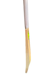 Hound Champion 161 English Willow Cricket Bat (SH)