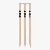 DSC Bleached And Polished Cricket Stumps