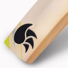 DSC Condor Drive English Willow Cricket Bat (Mens)