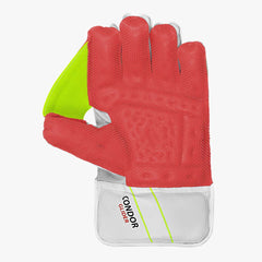 DSC Condor Glider Wicket Keeping Gloves (Mens)