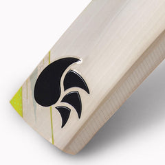 DSC Condor Winger English Willow Cricket Bat