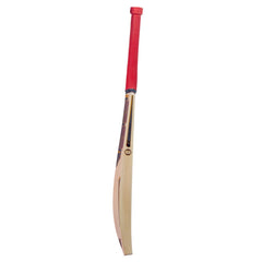 SS-TON GG Smacker Punch English Willow Cricket Bat (Mens)