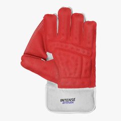 DSC Intense Attitude Wicket Keeping Gloves (Mens/Boys/Youth)