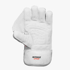 DSC Intense Speed Wicket Keeping Gloves (Mens)