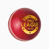 DSC Pro League Leather Ball