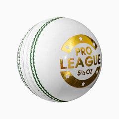 DSC Pro League Leather Ball