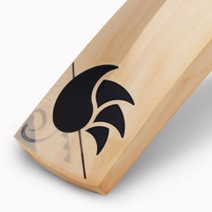 DSC BLAK 5 English Willow Cricket Bat (Mens)