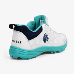 DSC Fearless Belter Cricket Shoes
