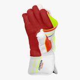 DSC Condor Glider Wicket Keeping Gloves (Mens)