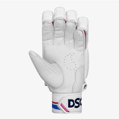 DSC Intense Frost Batting Gloves (Mens)