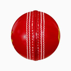 DSC Match Grade Leather Ball