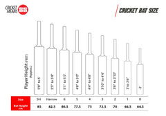 SS-Ton Orange English Willow Cricket Bat (Mens)