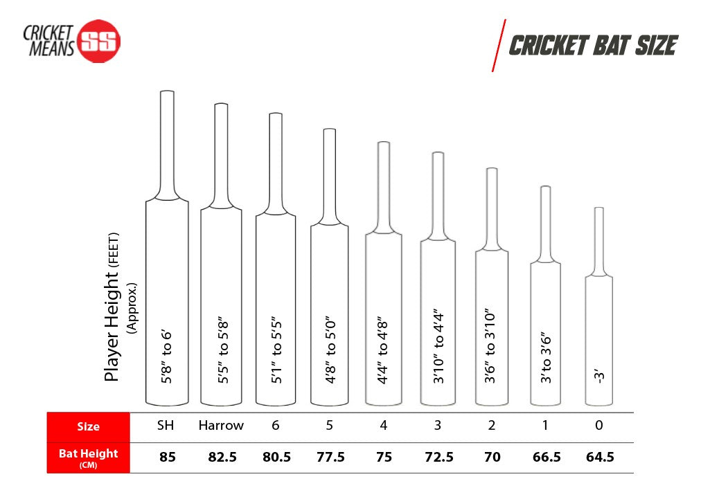 SS-TON GG Smacker Blaster English Willow Cricket Bat (Mens)