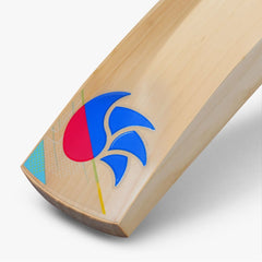 DSC Intense Rage English Willow Cricket Bat (Mens)