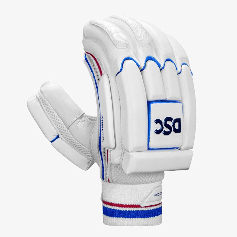 DSC Intense Frost Batting Gloves (Mens)
